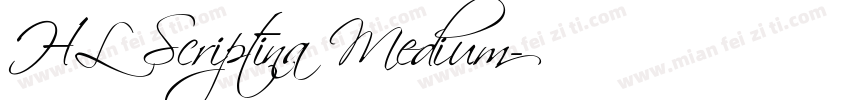 HL Scriptina Medium字体转换